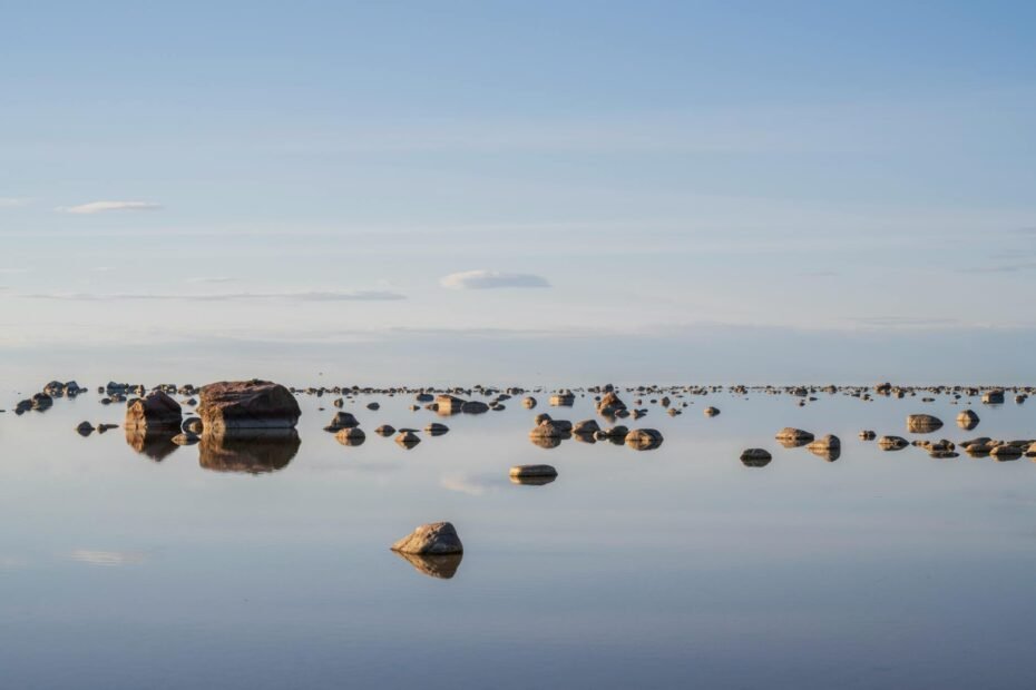 estonian language course online