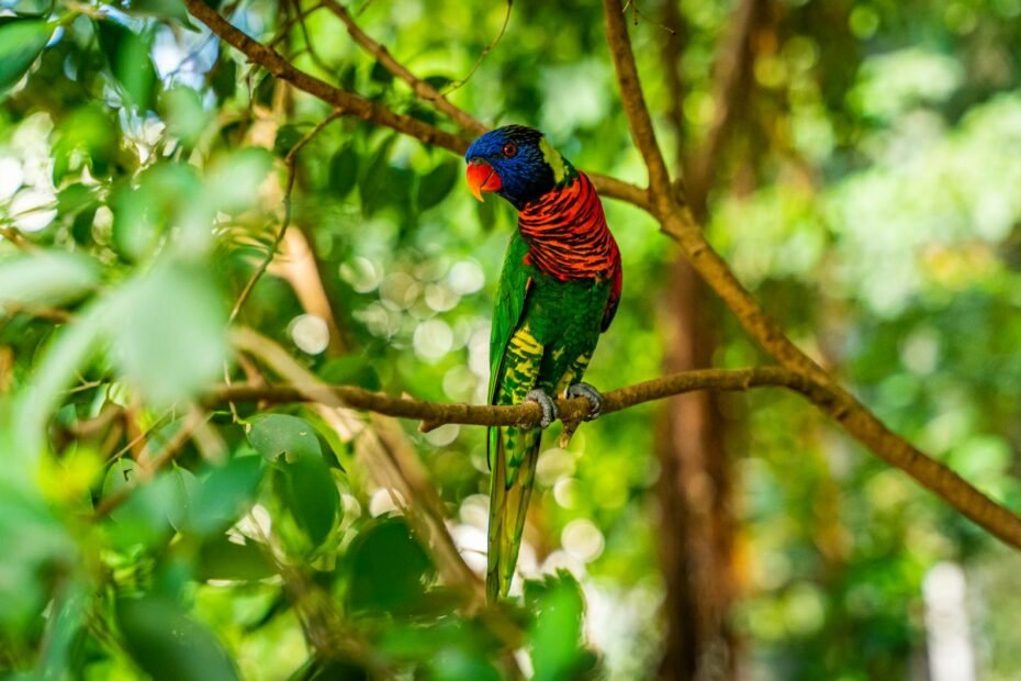 filipino language course online