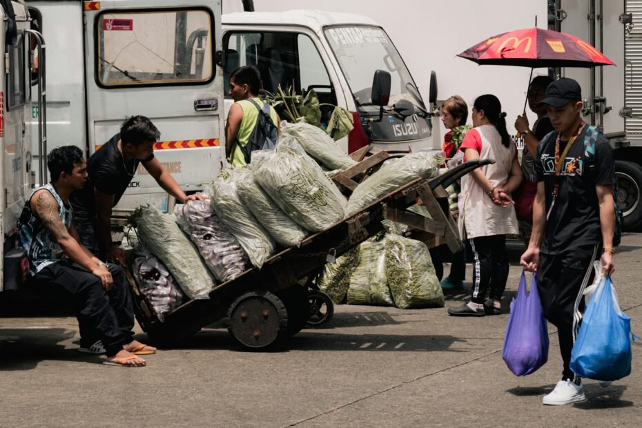 tagalog language learning program