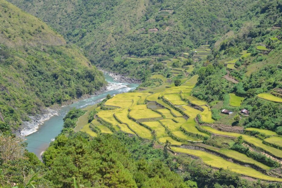 learn filipino with ai