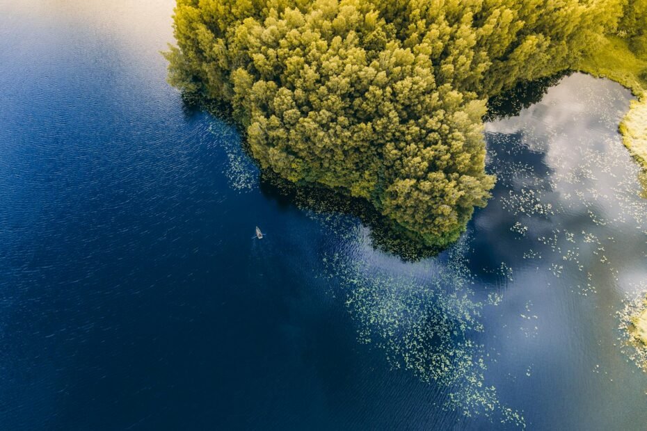 lithuanian language basics